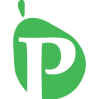 The Paro Consulting Group