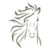Mustang MarTech