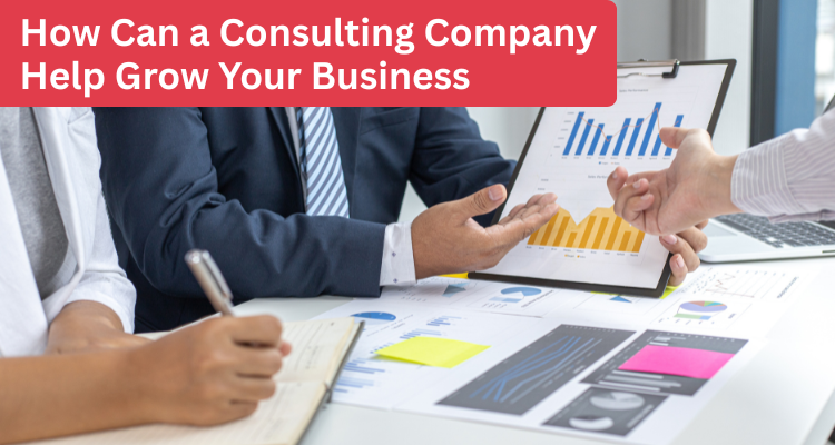 How Can a Consulting Company Help Grow Your Business
